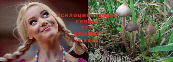 MESCALINE Абинск