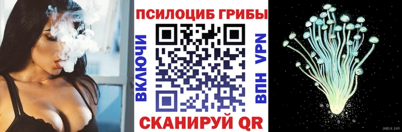 Псилоцибиновые грибы Psilocybine cubensis  Судогда 